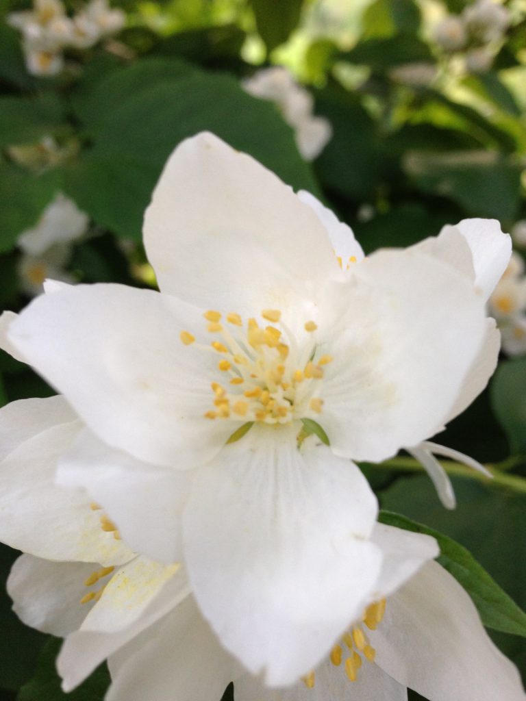 Bringen Sie Licht ins Dunkel bei Fremdenergiebelastung